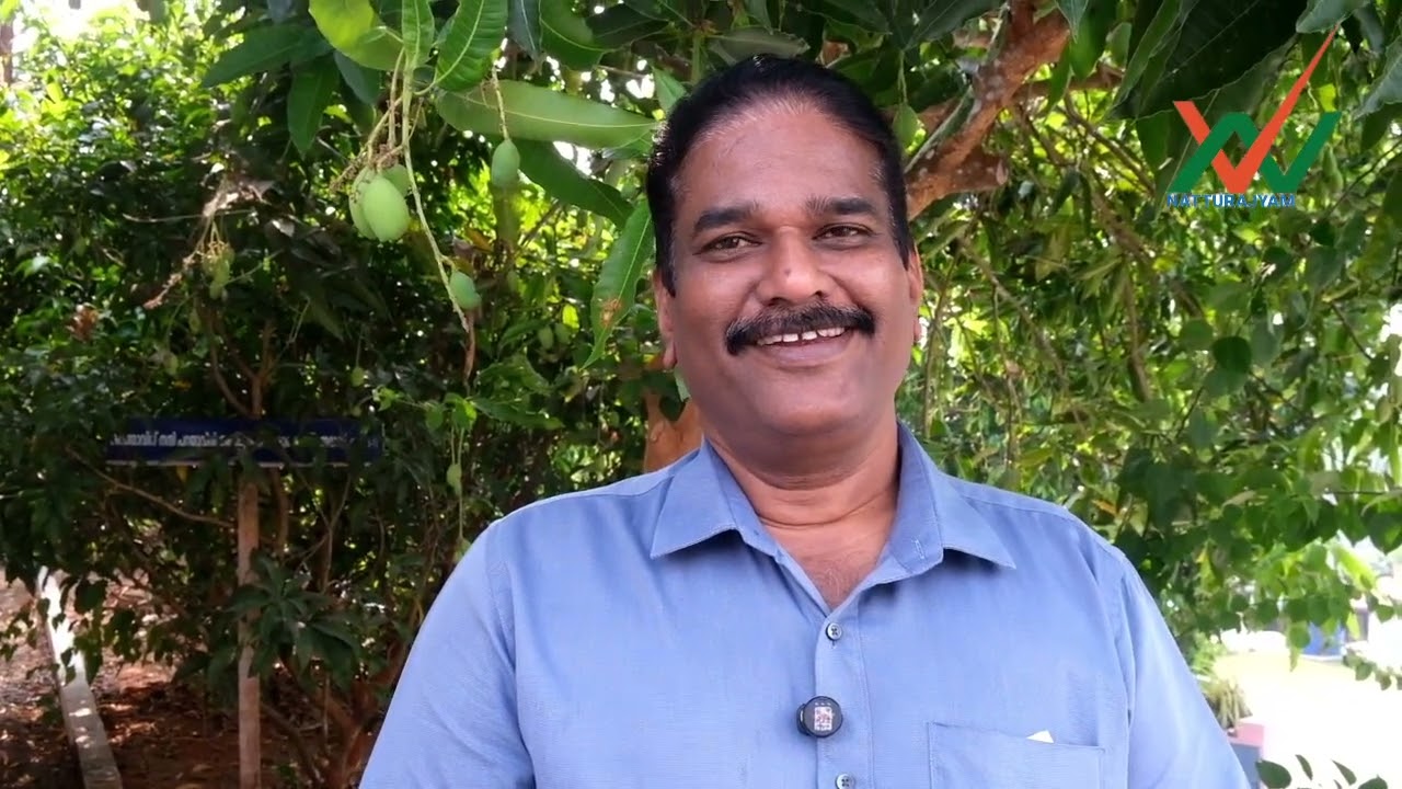 ഏഴല്ലൂർ ആനപ്പാറ ടൂറിസം സൗകര്യങ്ങൾ അടിയന്തരമയിട്ട് നടപ്പാക്കാൻ പഞ്ചായത്ത് മൂൻ കൈ ടുക്കണം,