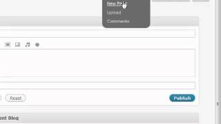 How To Post To WordPress | WordPress Training Videos