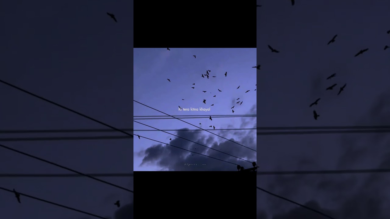 jaane na tu ~ bhoomi 