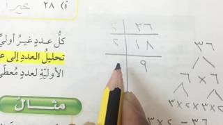 العوامل الأولية - رياضيات سادس الفصل الدراسي الأول