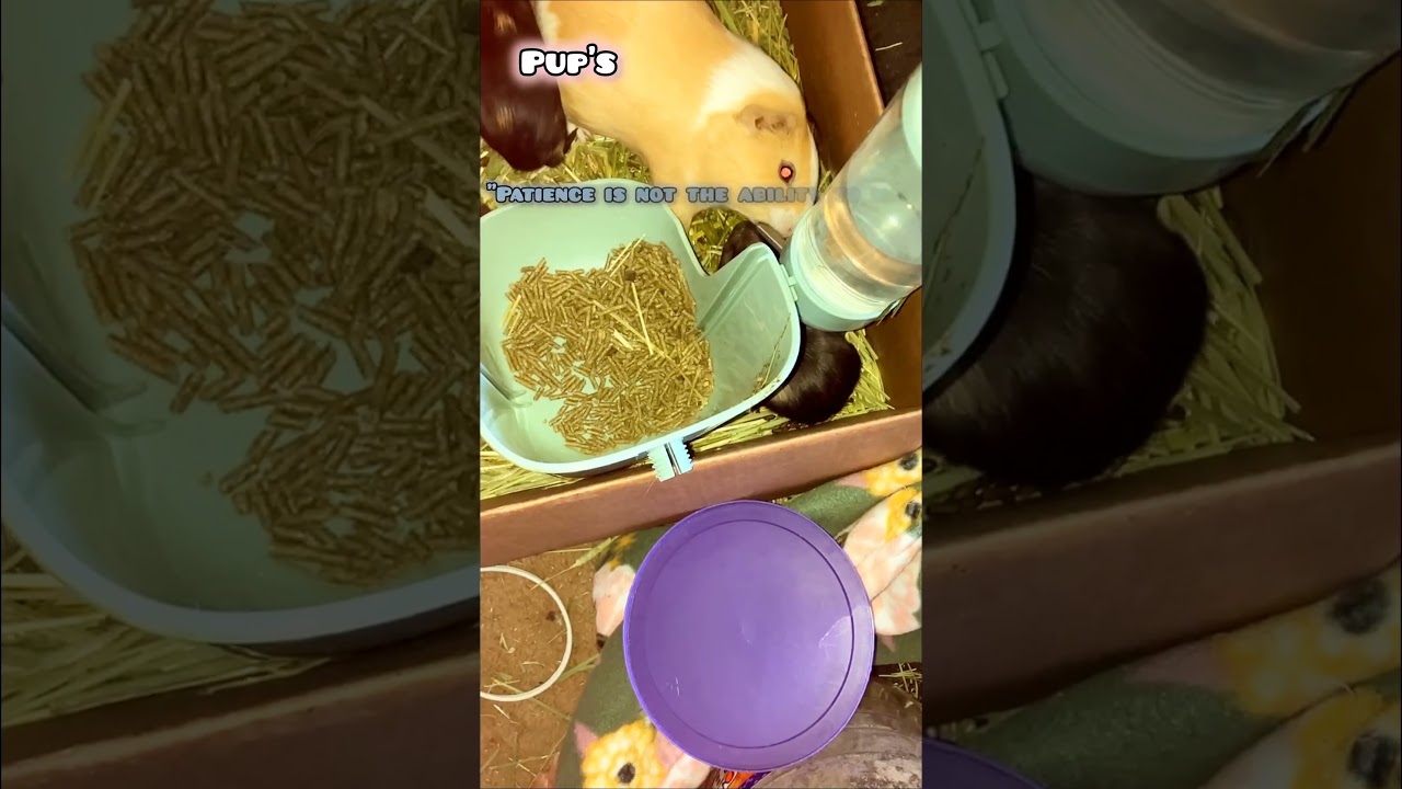 Today | Inspirational Thoughts Daily