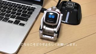 US版 Cozmo （コズモ）と日本語で会話してみる