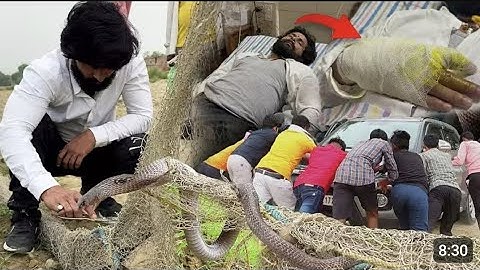 मुरली वाले हौसला जी को देखिए कैसे सांप ने काट लिया @murliwalehausla