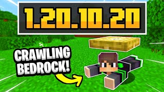 FITUR BARU!!! BISA CRAWL, RECIPE BARU, VANILLA PARITY MCPE BETA 1.20.10.20!