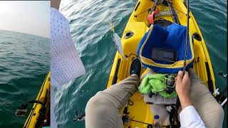 Dev Dalgalar, Canavar Baliklar Diyesim Geliyor Ama Yok Öyle Birşey. Öte Yandan Daha Eğlenceli