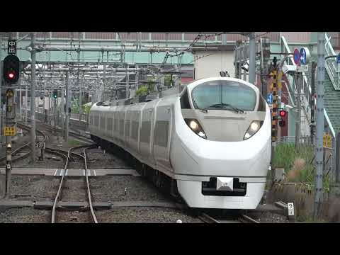 E657系 オマージュカラー 上野～柏「北千住通過」にて