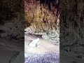 Hobbit cave ,Ruteng NTT
