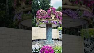 # 3 # Floral Crown # shaped # Fountain # Dubai Miracle Garden # Natural Flower Garden # Ytshorts #