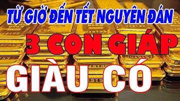 Đúng dịp tết nguyên đán, 3 con giáp may mắn gấp đôi tiền về nhanh chóng,sự nghiệp hanh thông