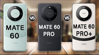 Huawei Mate 60 5G Vs Huawei Mate 60 Pro Vs Huawei Mate 60 Pro Plus Full Reviews