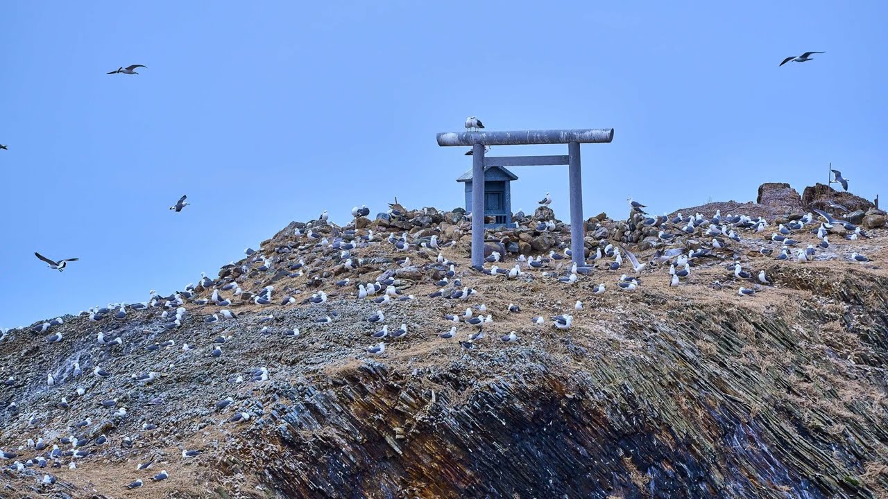 出雲・日沈む聖地へ 日御碕神社と経島を巡る心を整える旅 | 旅先での人