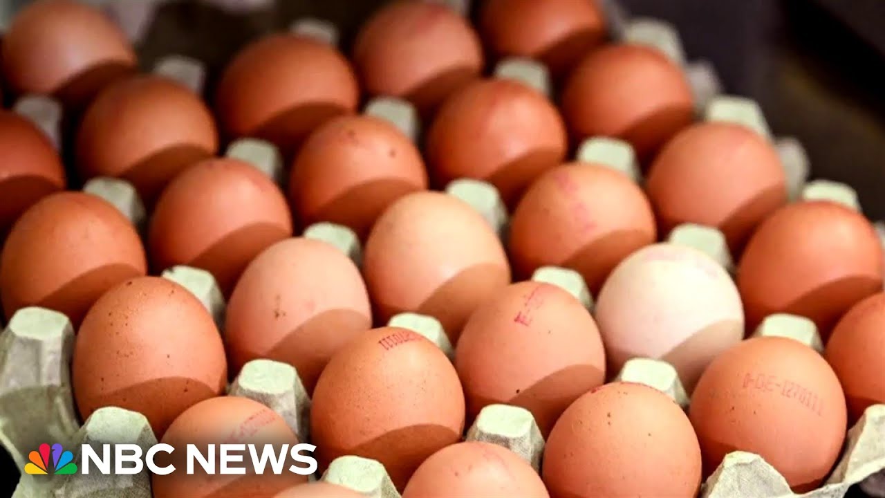 Nationwide egg shortage ahead of Thanksgiving Nationwide egg shortage ahead of Thanksgiving