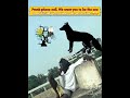 Crazy zoo keeper prank phone call😂🤣😁🫣.  #funny #prankvideo #comedyvideo #comedy #viralshort