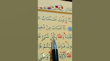 سورة التغابن الأية 10 إلى 13 بصوت سعد الغامدي
