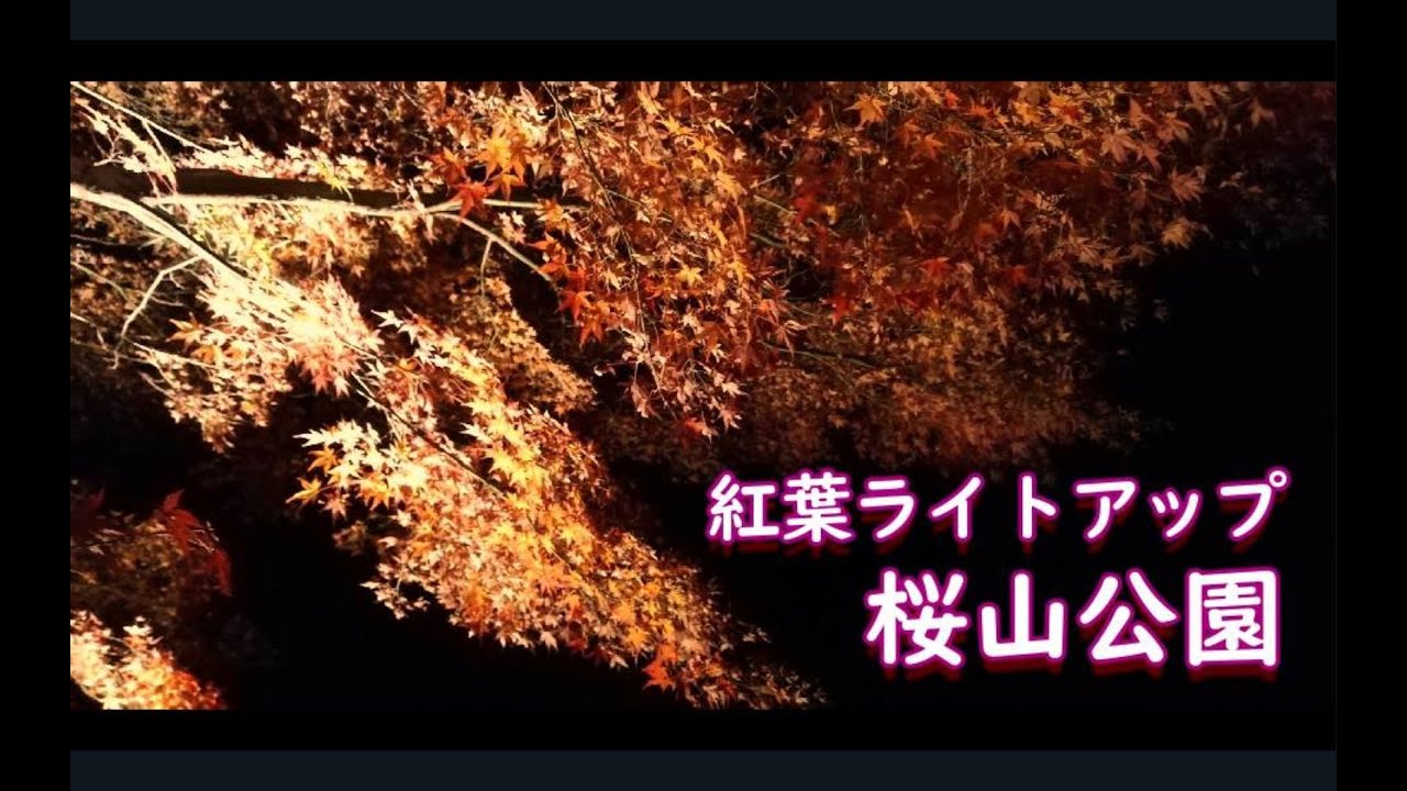 紅葉ライトアップ 桜山公園 Youtube