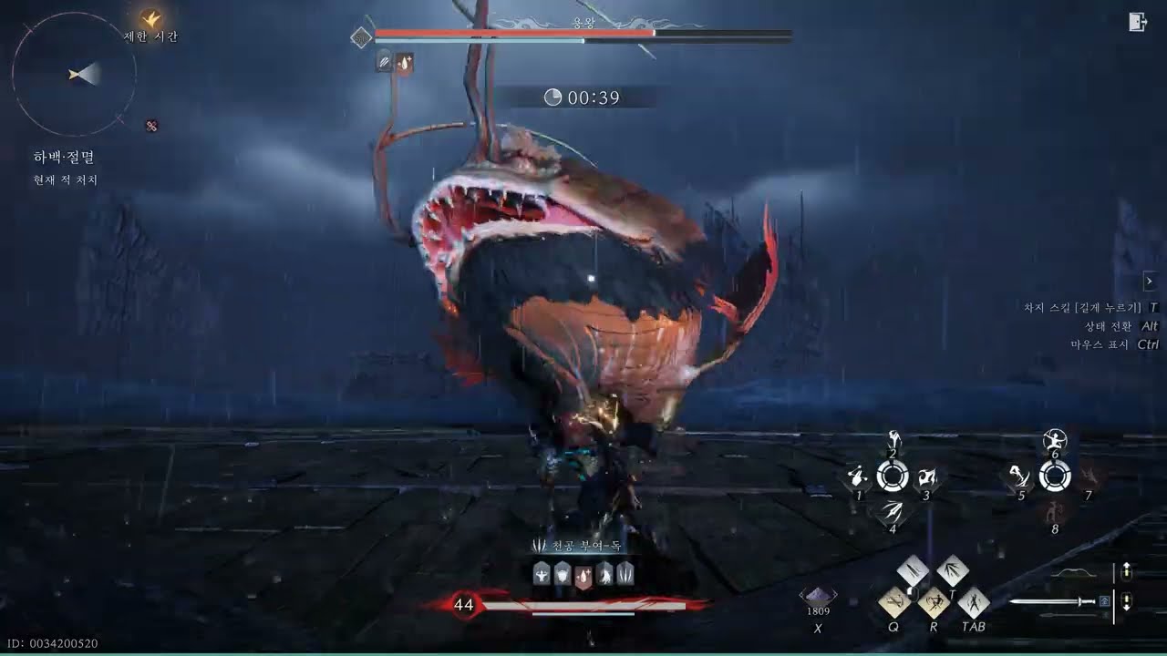 연운 - 시련 절멸 무피해 /  용왕 하백 (무명검법)