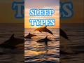 do you know YOUR sleep personality type? is it the DOLPHIN? #shorts