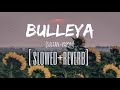 Bulleya Sultan (Slow+Reverb) | Salman Khan, Anushka Sharma | Papon | Vishal&Shekhar | Irshad Kamil