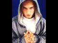 Eminem When Im Gone Instrumental mp3