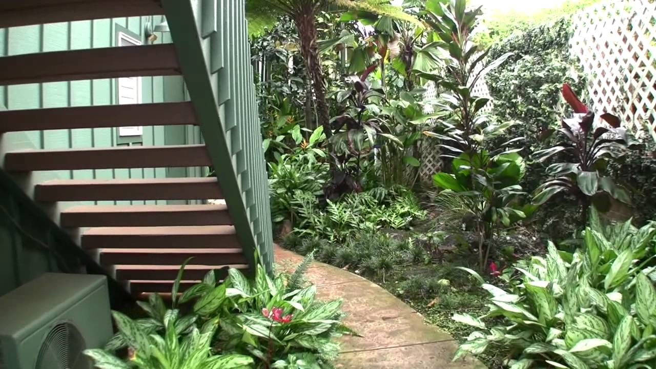 Hideaway Kauai Garbage area for Seabreeze, Coral & Dolphin YouTube