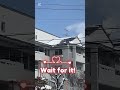 Why is this so satisfying to watch!?