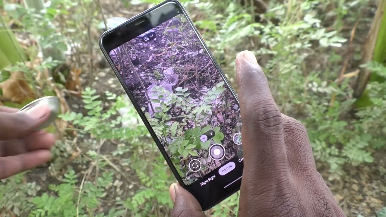 How To Take Background Blurred Image In Google Pixel 4 Background How To Take Background Blurred Image In Google Pixel 4 Background