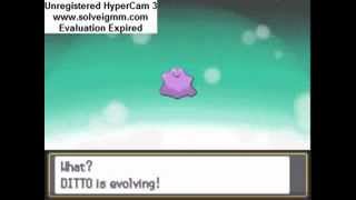 Ditto evolves into Ditto !!