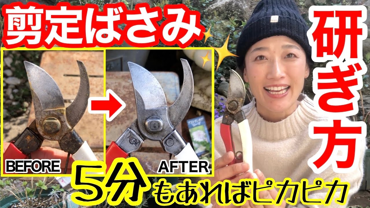 【剪定ばさみの研ぎ方✂️】研ぎ石は使いません‼️100円以下の◯◯で数分でピカピカ✨/初心者さん🔰でも圧倒的な切れ味に/ サビ止めは仕上げが大切☝️【岡恒】【ガーデニング】