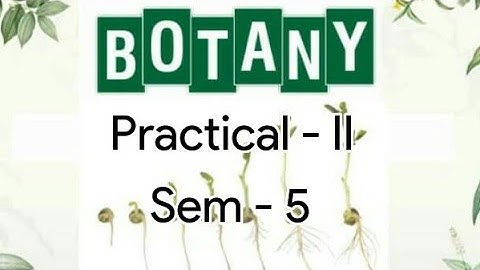 Kerala University BSc Botany - BOTANY -  PRACTICAL II  QUESTIONS  -  ( Sem - 5 )