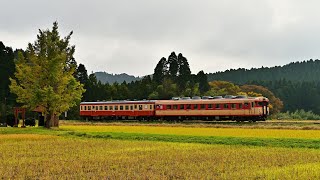 【キハ28】国鉄型気動車晩秋のいすみ鉄道【キハ52】20191124