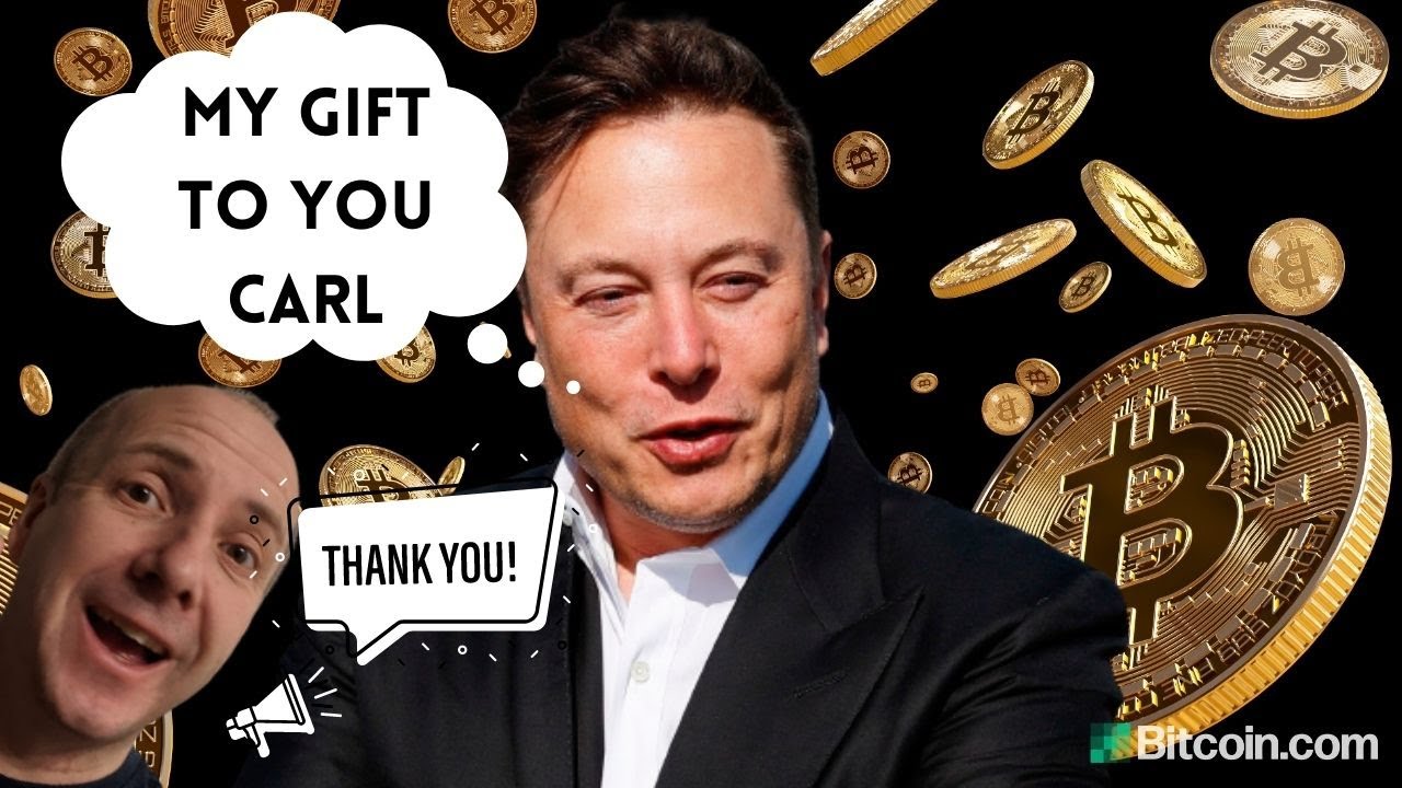 Elon Musk just paid for 25 New articles for me - Thanks Elon
