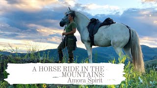 A HORSE RIDE IN THE MOUNTAINS: AMORA SPIRIT ~ ride and vlog