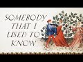 Somebody That I Used To Know (Bardcore/Medieval Style Cover with Vocals)