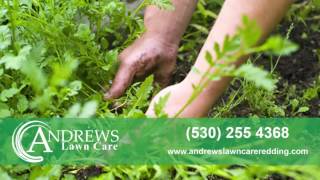Andrews Lawn Care