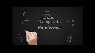 Biome Temperate Rainforest
