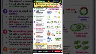 GCSE Biology Paper 2 Genetic Eng Revision | 6 Mark Questions, Vaccines &amp; Genetic Eng Explained