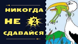 Никогда не сдавайся. Часть 2. #мотивация #сетевоймаркетинг