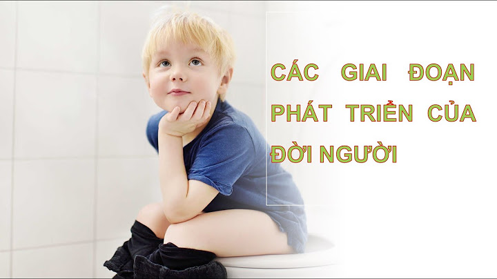 Đánh giá vè thuyết của erik erikson