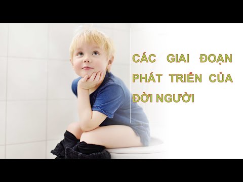 Video: Giai đoạn Piaget gắn liền với thời niên thiếu là gì?