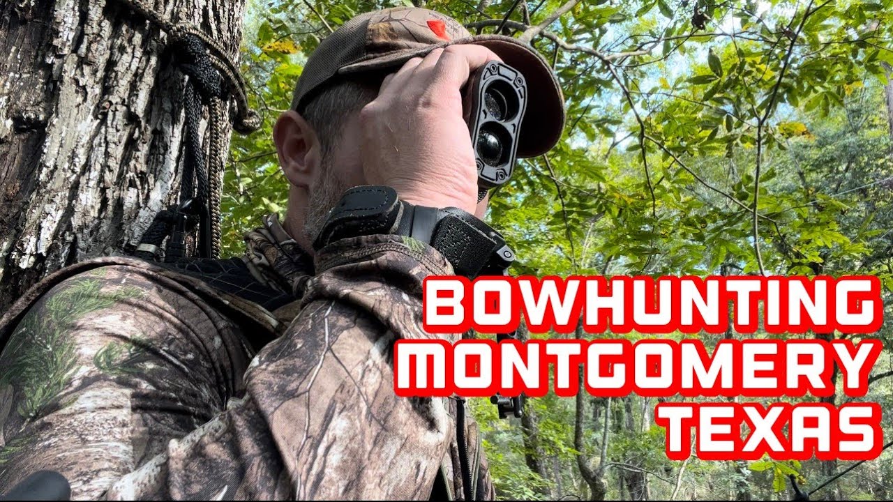 Bowhunting Montgomery, TX November 5, 2022 YouTube