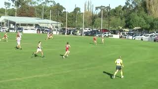 Wi V Nng Seniors Highlights