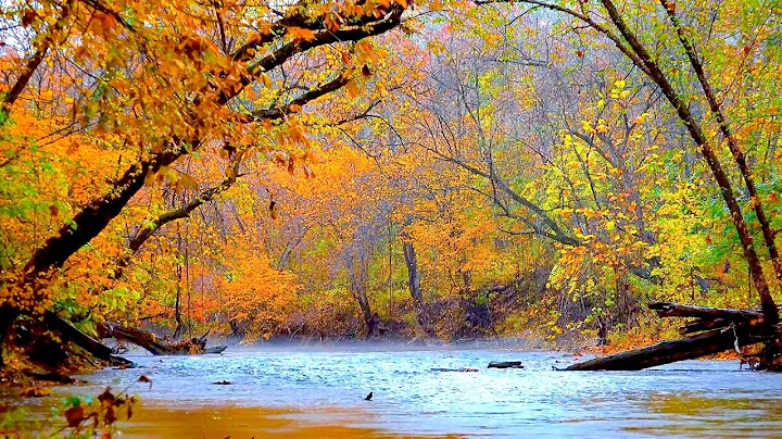 4 hours of peaceful, relaxing, nature instrumental...