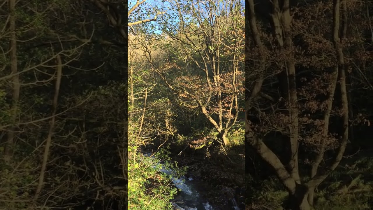River in the Neath Valley, Wales