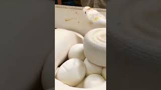 Famous snake mother protect her eggs.🐍🤗#short #youtubeshorts #viral Wealth
