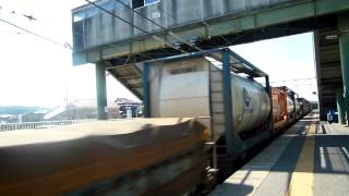 貨物列車　4095レ　EF81-726号機　古津駅 通過