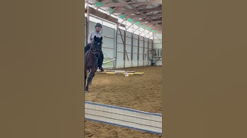 recreating from my most viral video #equestrianjourney #horse #equestrian #riding #fypシ゚viral