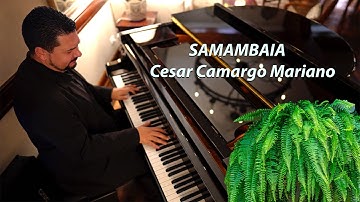 Thumbnail of Samambaia - Música de Cesar Camargo Mariano