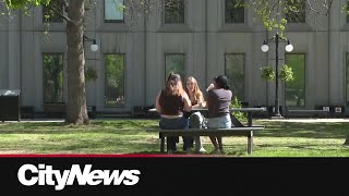 Study links overprotective parenting to anxiety in university students