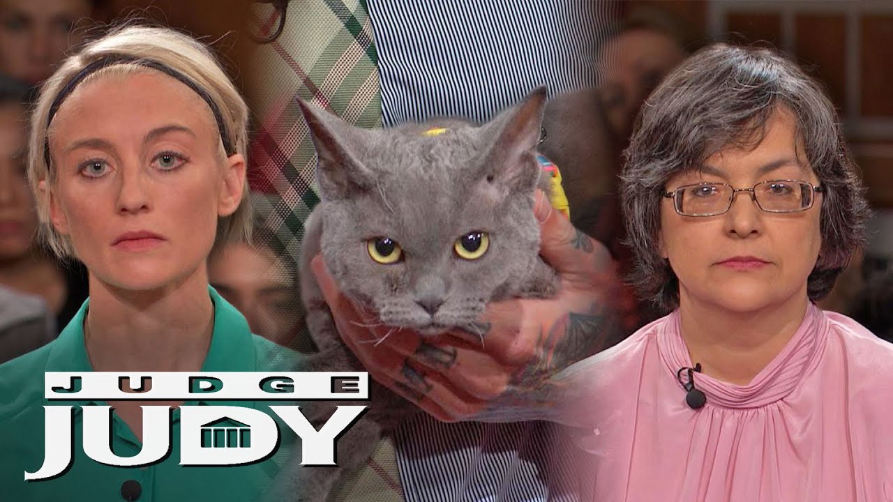 Woman Sues Cat Breeder for Selling a Sick Cat