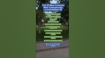 Web Security Vulnerabilities #websecurity #owasp #owasptop10